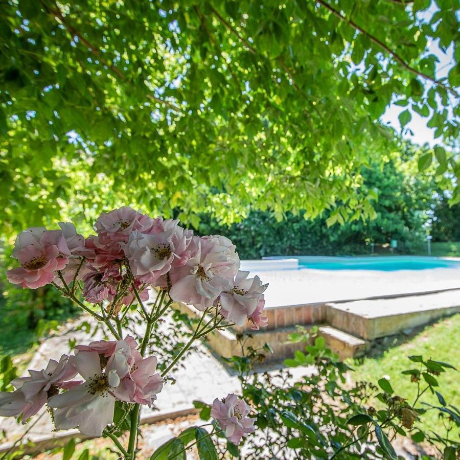 Borgo Del Nibbio Διαμέρισμα Porto Levante Εξωτερικό φωτογραφία