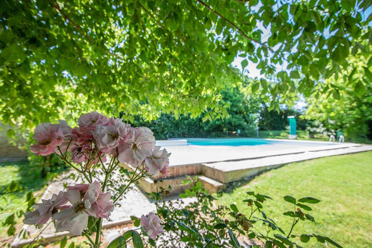 Borgo Del Nibbio Διαμέρισμα Porto Levante Εξωτερικό φωτογραφία